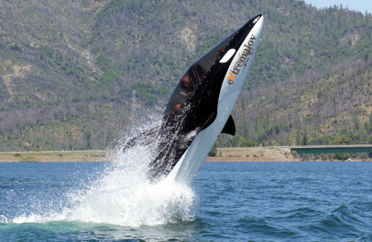 Seabreacher Y